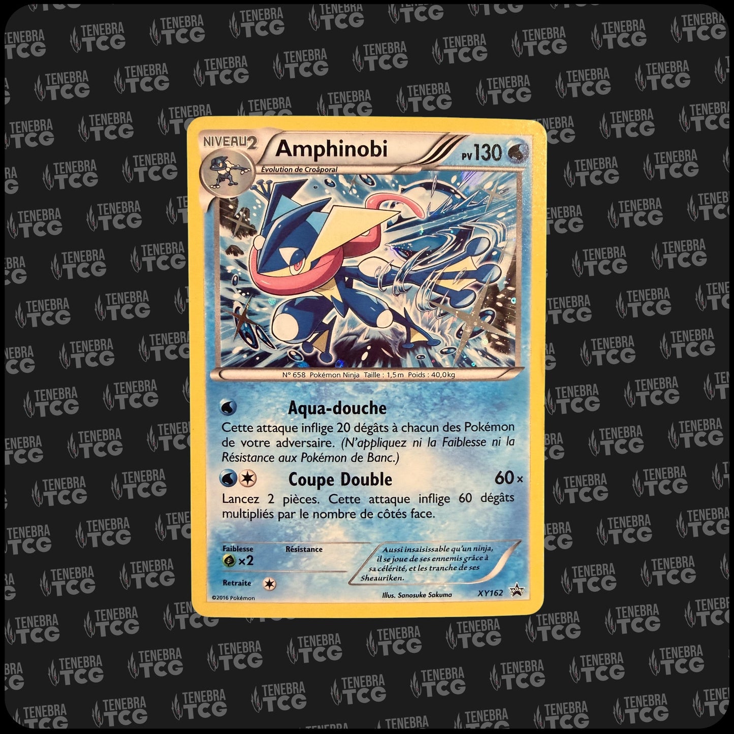 Amphinobi Promo - XY162 - FR