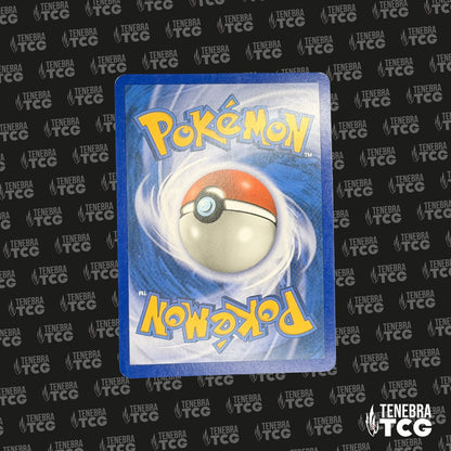 Torterra Reverse - Tempête - 11/100 - FR