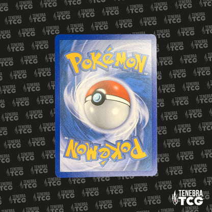 Kapoera Holo - L'Appel des Légendes - 8 sur 95 - FR