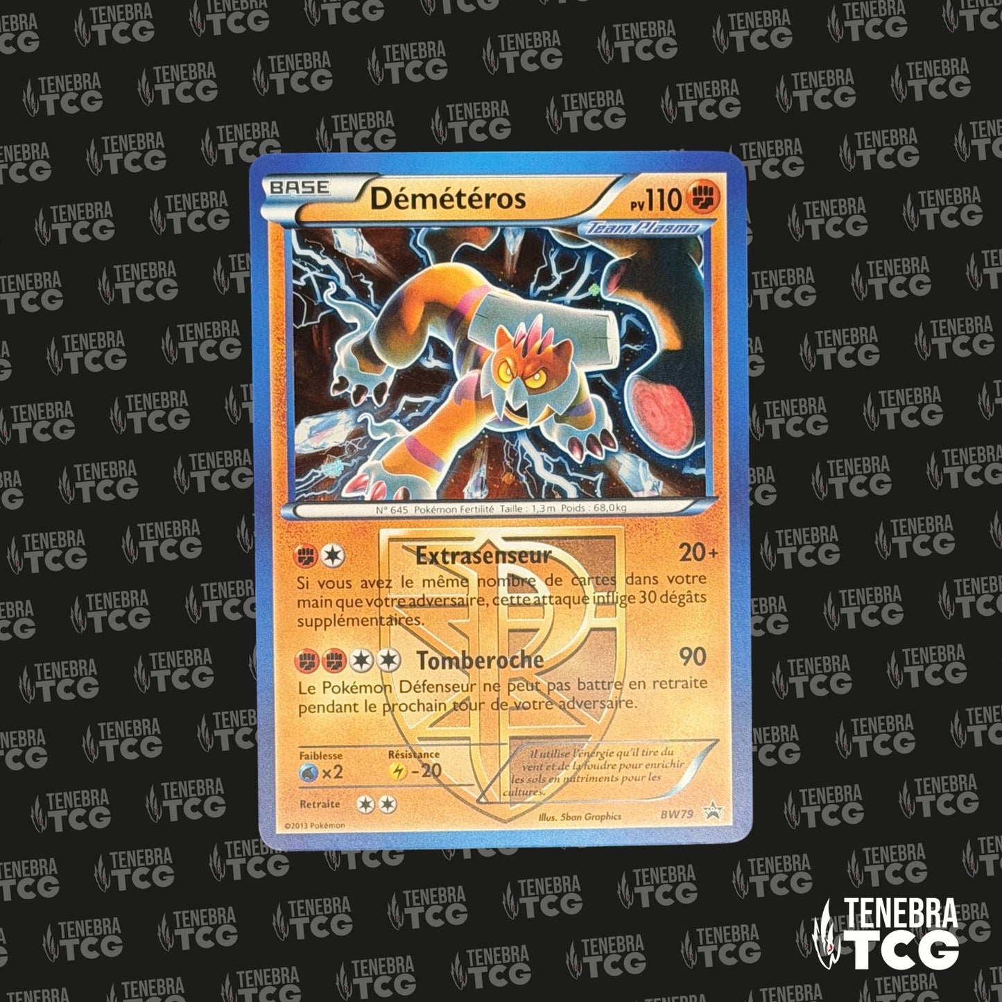 Démétéros Promo - BW79 - FR