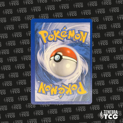 Démétéros Promo - BW79 - FR