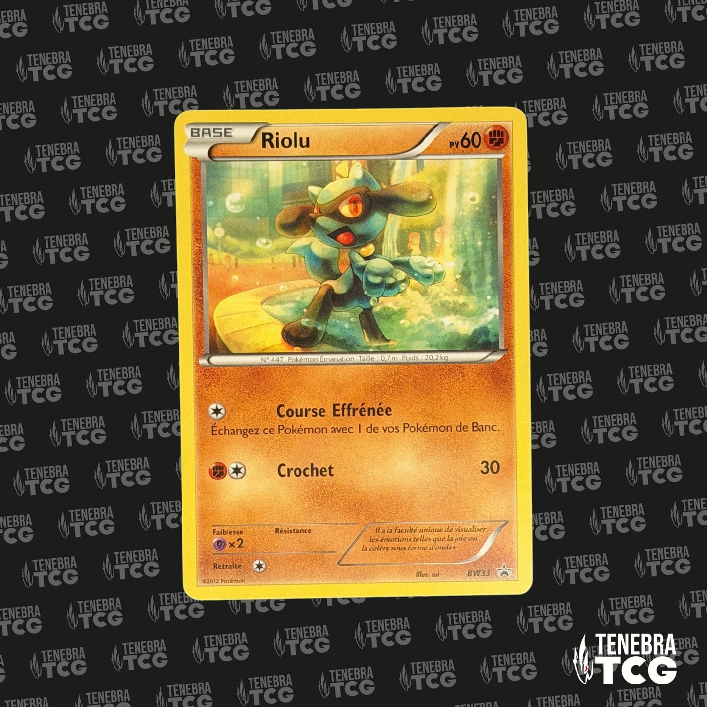 Riolu Promo - BW33 - FR