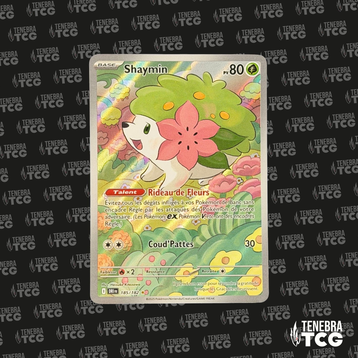 Shaymin AR - Rivalités Destinées - 185/182 - FR